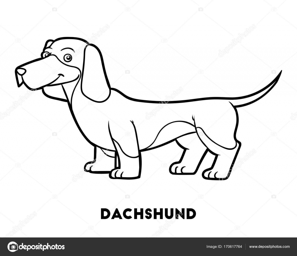 Download Coloring Book Dog Breeds Dachshund Vector Image By C Ksenya Savva Vector Stock 170617764