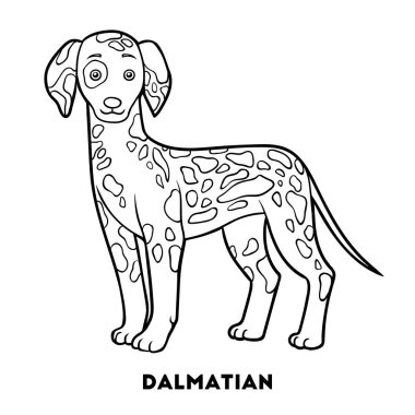 Boyama kitabı, köpek ırkları: Dalmaçya
