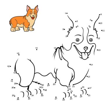 Sayı oyunu, köpek ırkları: Galce corgi