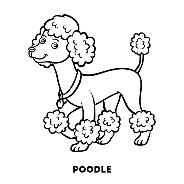 Coloring book, Dog breeds: Poodle — Stock Vector