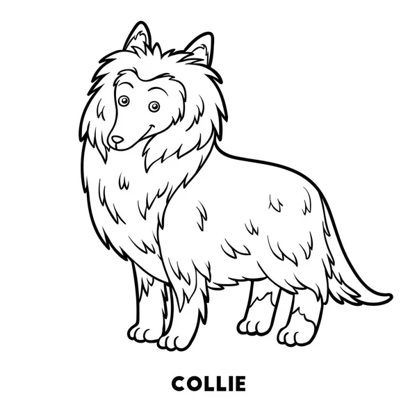 Книжка-розмальовка, собака породи: Коллі — стоковий вектор