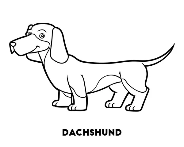 Розмальовка, Породи собак: Дашхунд — стоковий вектор
