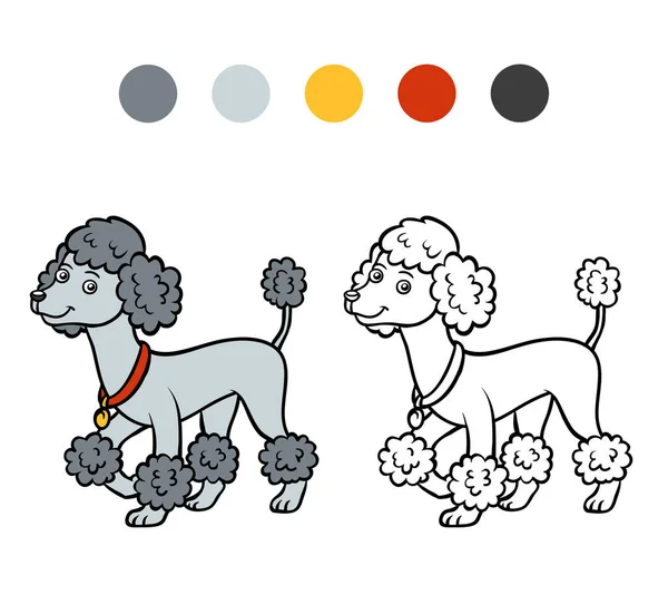 Coloriage, Chiens de races : Caniche — Image vectorielle