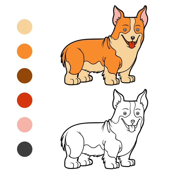 Carte de colorat, rase de câini: Welsh corgi — Vector de stoc