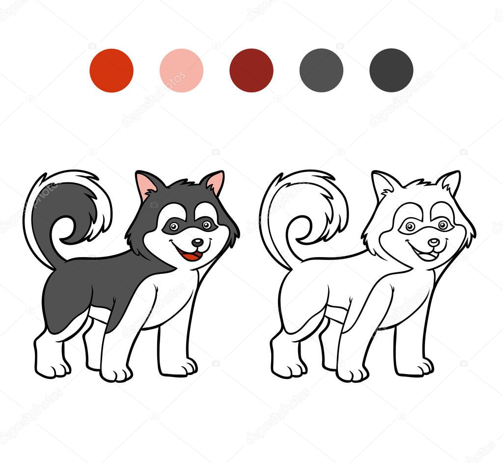 Coloring book, Dog breeds: Husky