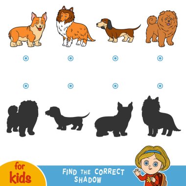 Doğru gölge bulmak. Köpekler kümesi