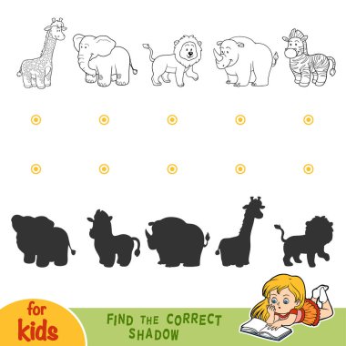 Doğru gölge bulmak. Siyah ve beyaz safari hayvanlar