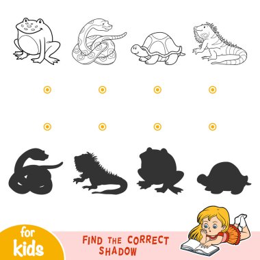 Doğru gölge bulmak. Siyah ve beyaz hayvanlar