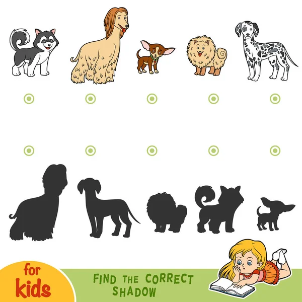 Doğru gölge bulmak. Köpekler kümesi