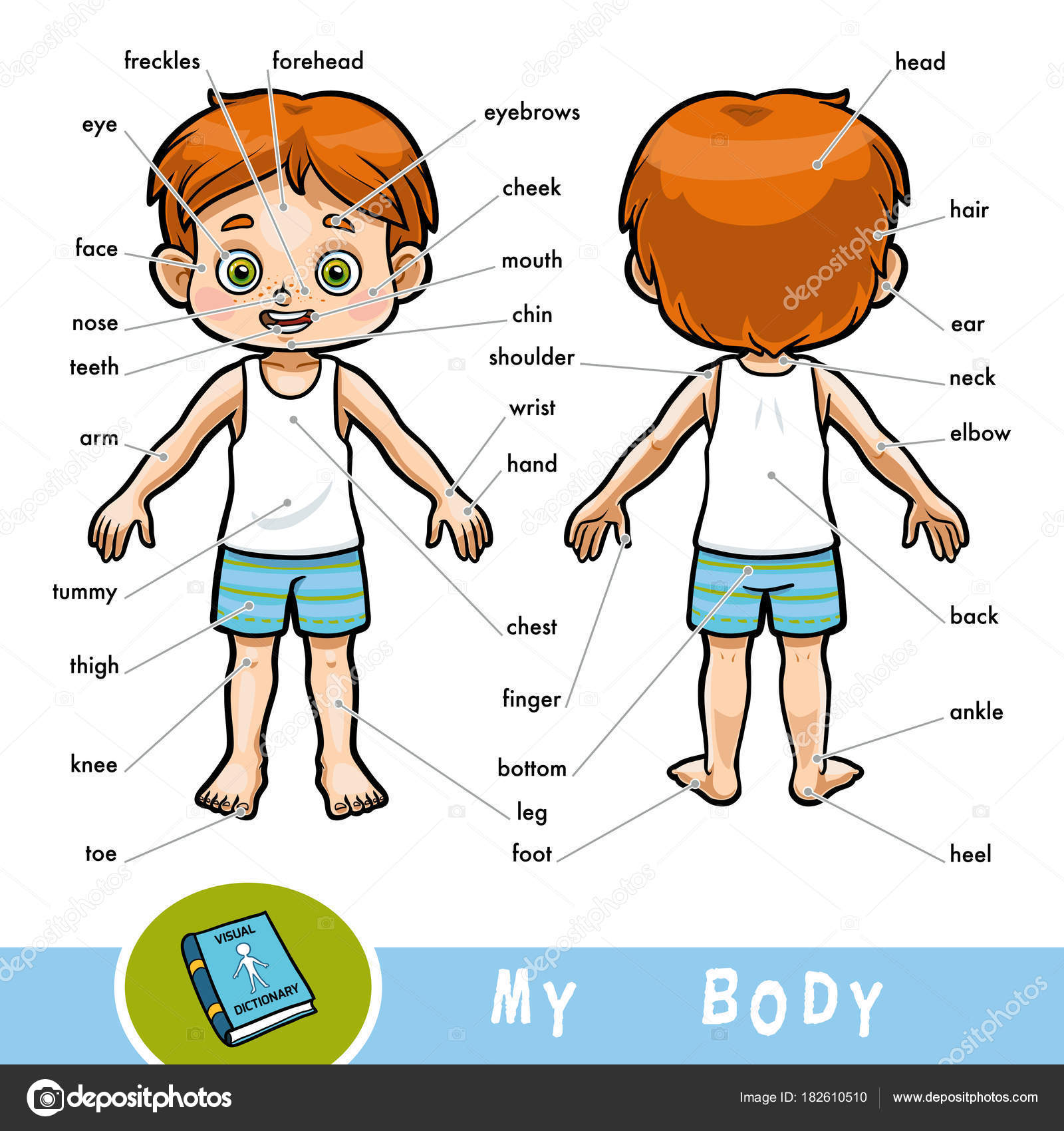 body-parts-free-printables-worksheets-pdf-my-body-free-printables-images