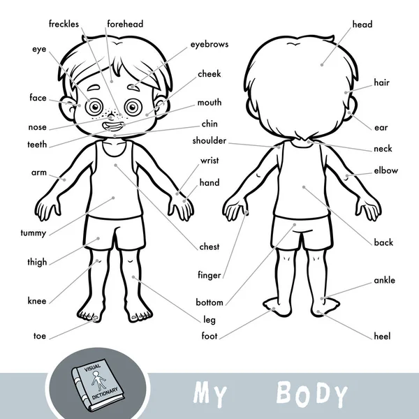 Criança corpo humano imágenes de stock de arte vectorial - Página 2 |  Depositphotos
