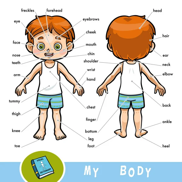 Vizuální slovník pro děti o lidském těle. Moje části těla pro chlapce. — Stockový vektor