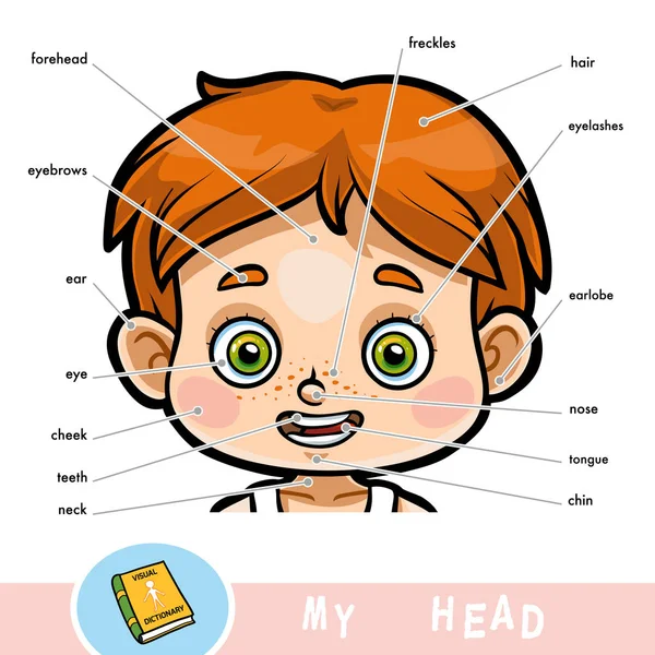 Słownik obrazkowy dla dzieci na temat ludzkiego ciała. Moja głowa części dla chłopca. — Wektor stockowy