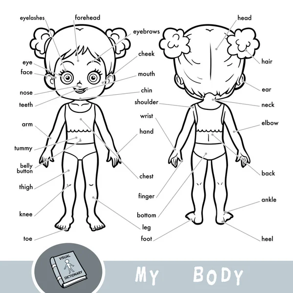 Diccionario visual para niños sobre el cuerpo humano. Mis partes del cuerpo para una chica . — Archivo Imágenes Vectoriales