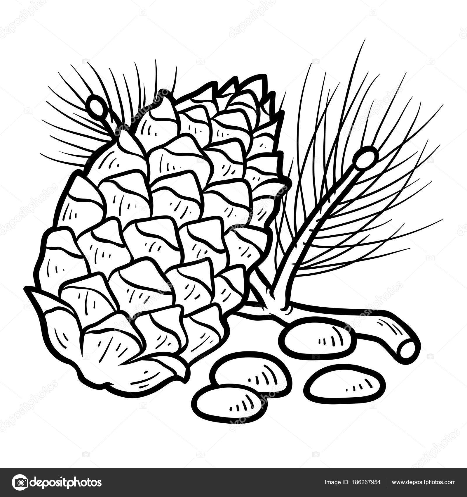 Libro da colorare per bambini dado di pino — Vettoriali di ksenya savva Trova immagini simili