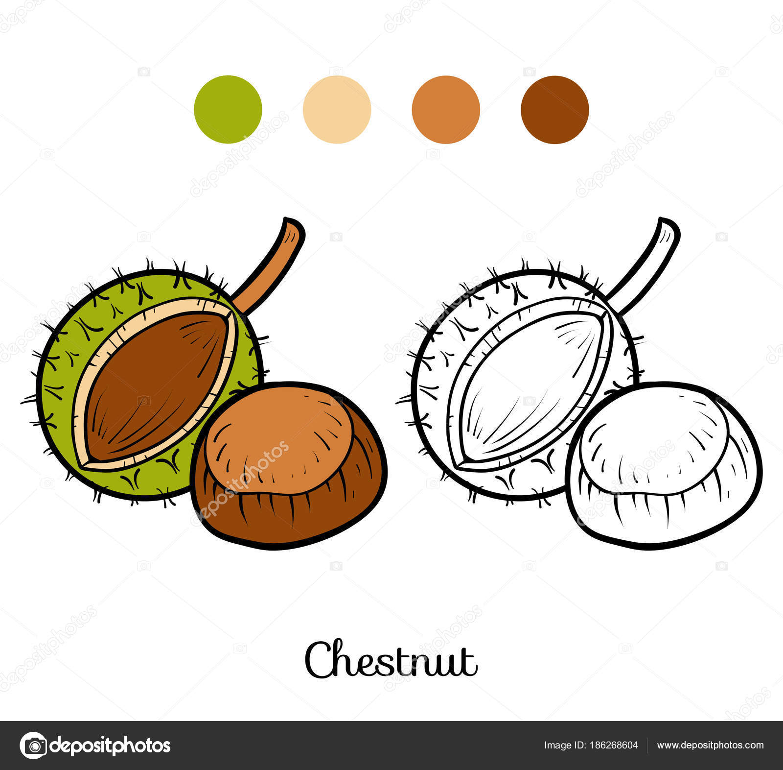 栗塗り絵 ストックベクター ©ksenya_savva 186268604, image size:1600x1572