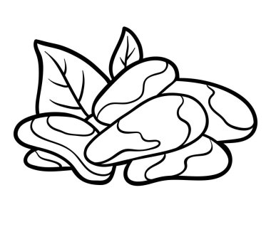 Boyama kitabı, Brezilya cevizi