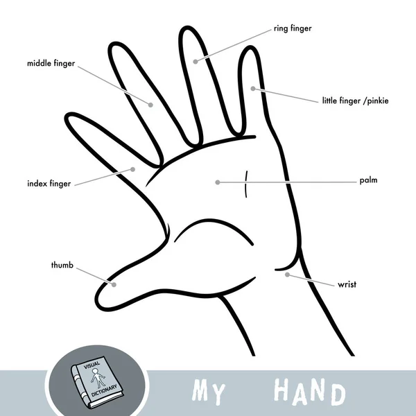 Noms communs pour les doigts de main. Image de bande dessinée sur la partie du corps humain — Image vectorielle