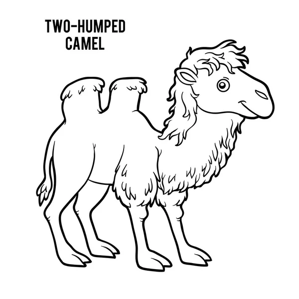 Libro para colorear, camello de dos jorobas — Vector de stock
