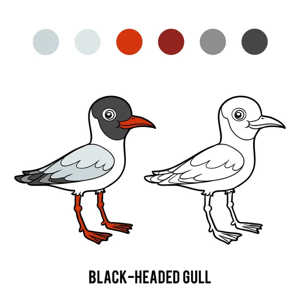 Coloring book, Black-headed gull — Stock Vector