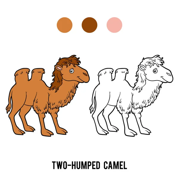 Kleurboek, twee-humped camel — Stockvector