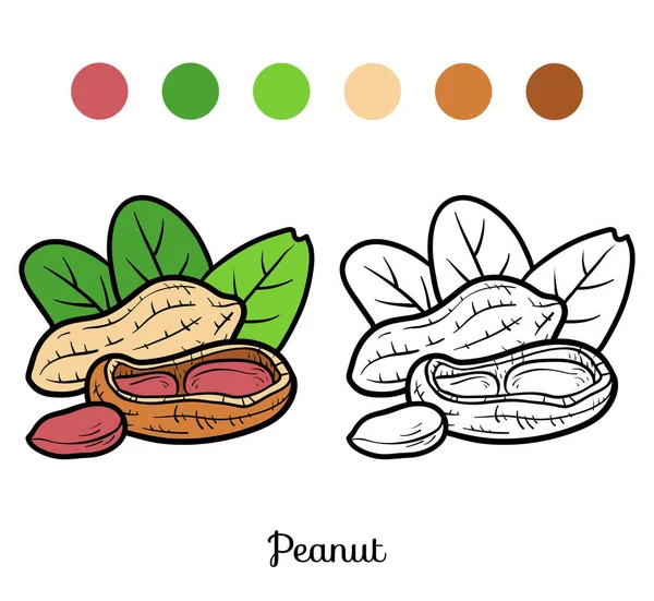 Livre à colorier, cacahuète — Image vectorielle