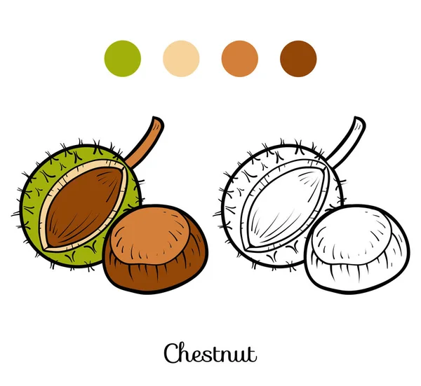 Coloring book, Chestnut — Stock Vector