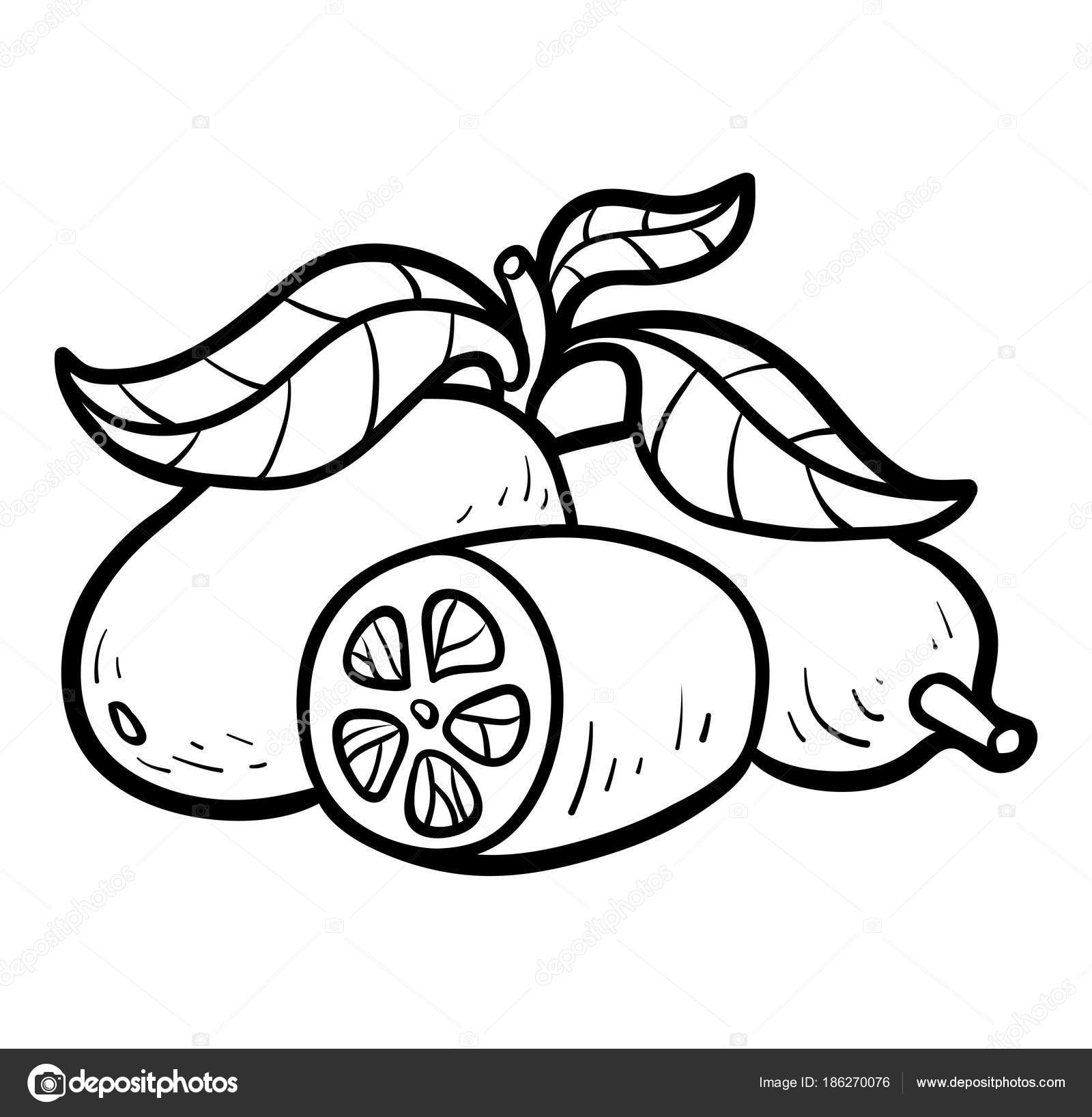 Libro da colorare Kumquat — Vettoriali Stock © ksenya savva Libro da colorare per bambini Kumquat — Vettoriali di ksenya savva Trova immagini simili