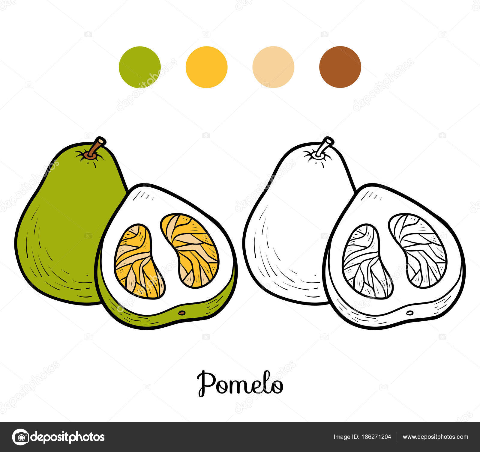 Coloring Book Pomelo Stock Vector Image By C Ksenya Savva 186271204