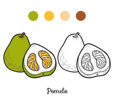 Boyama kitabı, Pomelo