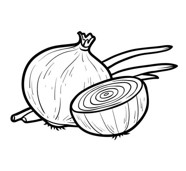 Malbuch, weiße Zwiebel — Stockvektor