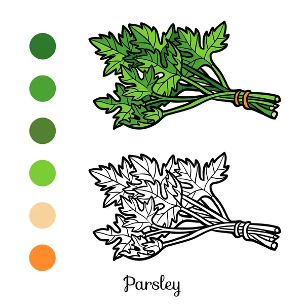 Coloring book, Parsley — Stock Vector