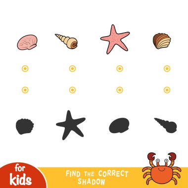 Doğru gölge bulmak. Deniz kabuklarını kümesi