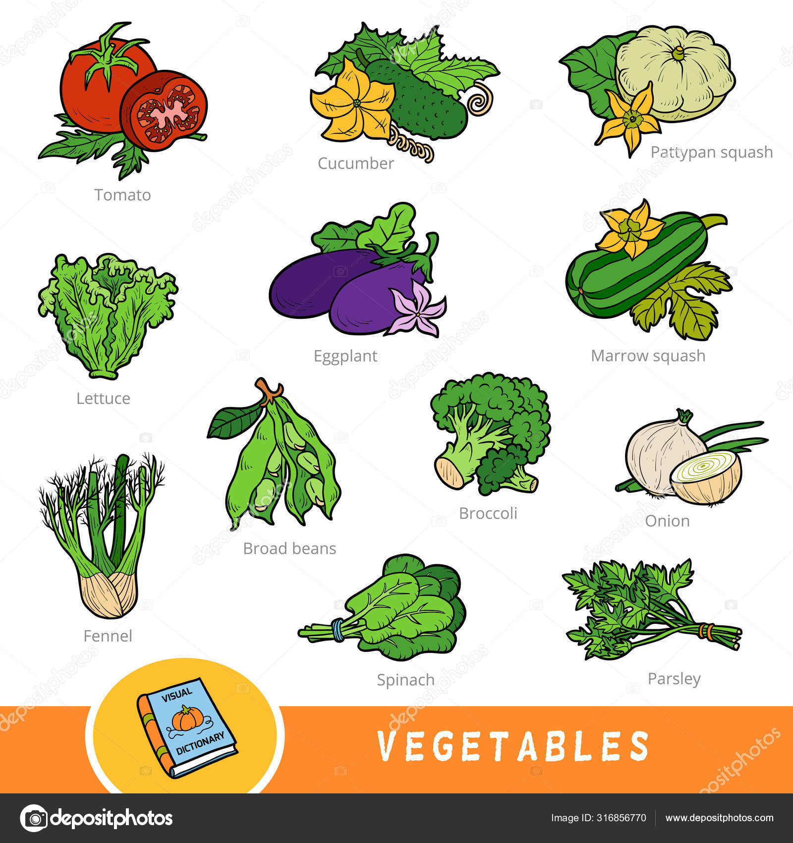 Colour Set Of Vegetables Collection Of Nature Items With Names In English Stock Vector Image By C Ksenya Savva Colour Set Of Vegetables Collection Of Nature Items With Names In English Stock Vector Image By C Ksenya Savva