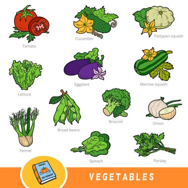 Renkli sebze seti, İngilizce isimleri olan doğa öğeleri koleksiyonu