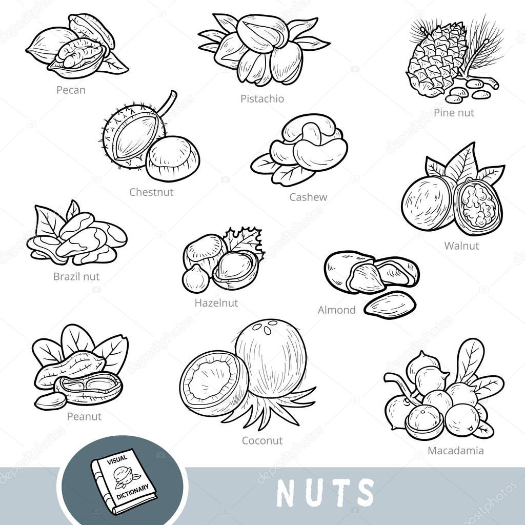 Black and white set of nuts, collection of nature items with names in English
