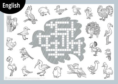 İngilizce siyah beyaz bulmaca, çocuklar için eğitim oyunu. Çeşitli kuşlardan oluşan çizgi film seti