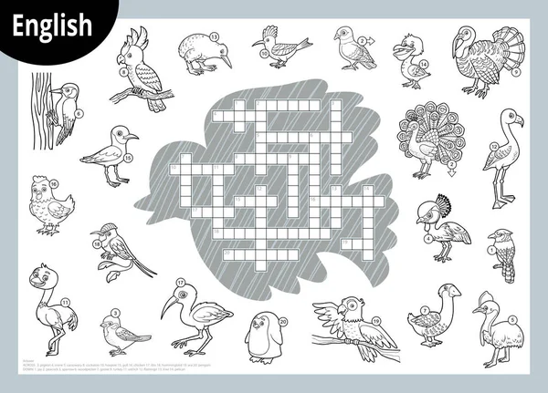 Mots croisés en noir et blanc en anglais, jeu éducatif pour les enfants. Dessin animé ensemble de divers oiseaux — Image vectorielle