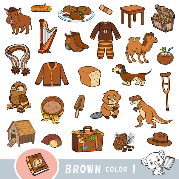 Colorful set of brown color objects. Visual dictionary for children about the basic colors. — 스톡 벡터