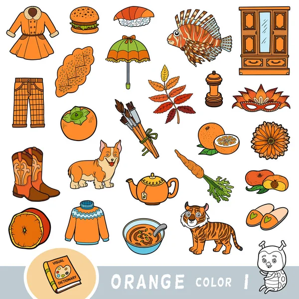 Barevná sada oranžových barevných objektů. Vizuální slovník pro děti o základních barvách. — Stockový vektor