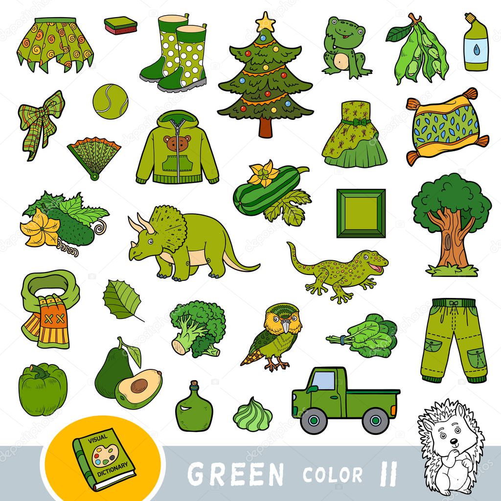 Colorful set of green color objects. Visual dictionary for children about the basic colors.