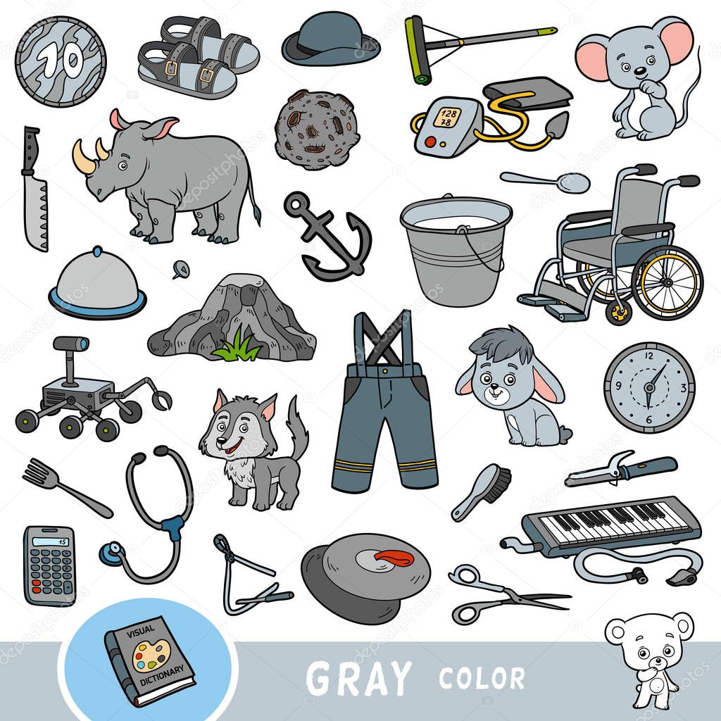 Colorful set of gray color objects. Visual dictionary for children about the basic colors.