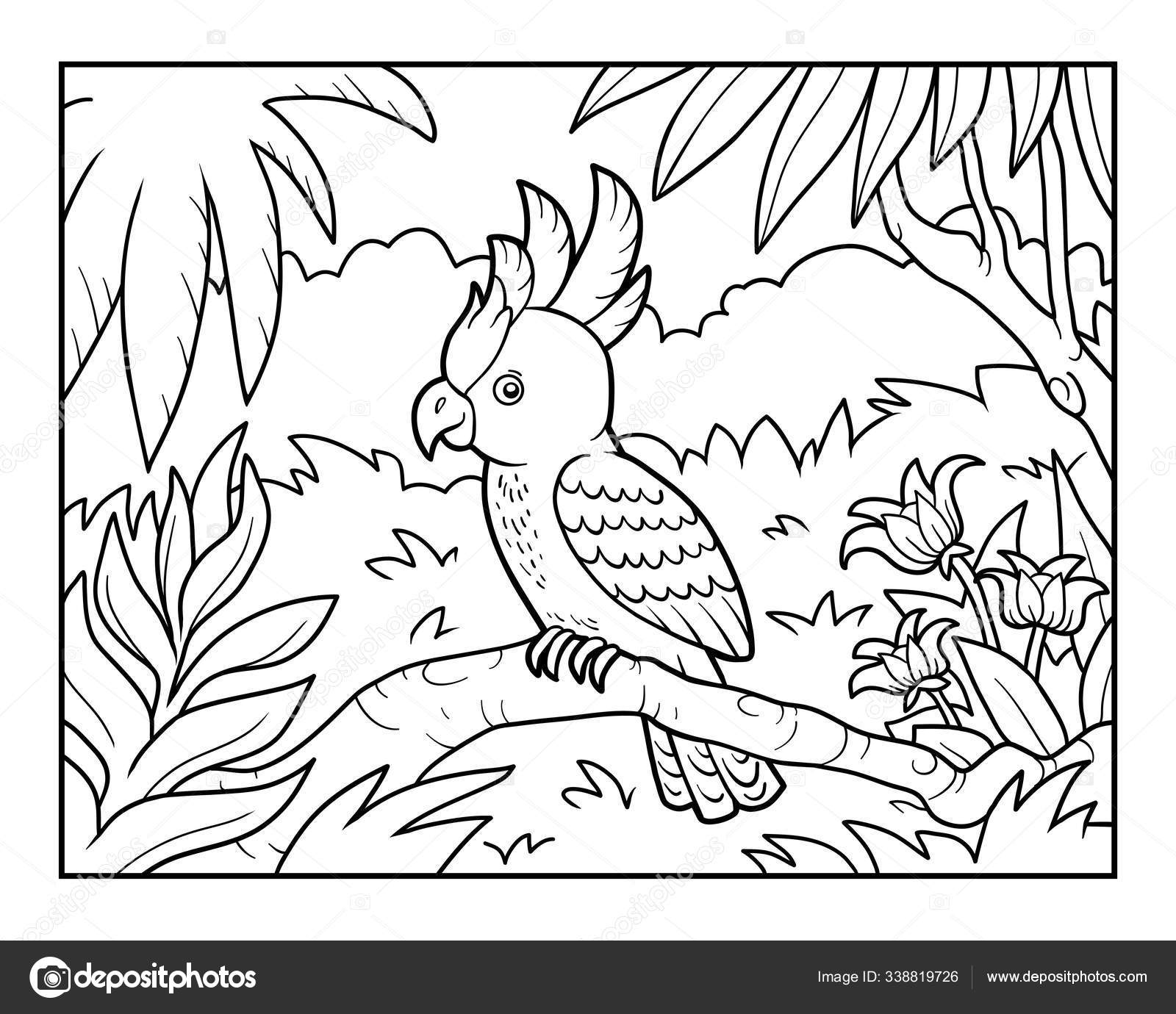 Libro de colores, Cockatoo parrot in the rainforest. — Vector de stock