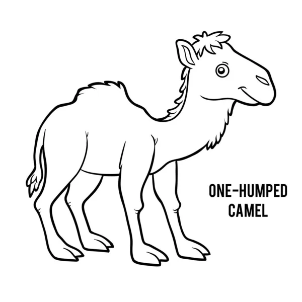 Coloring book, One-humped camel — Stok Vektör