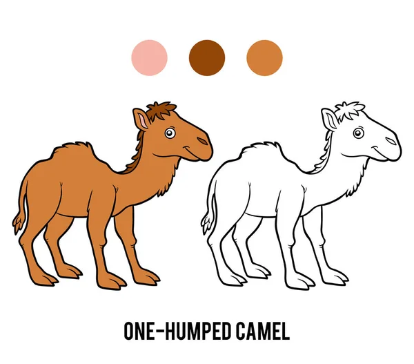 Coloring book, One-humped camel — 스톡 벡터