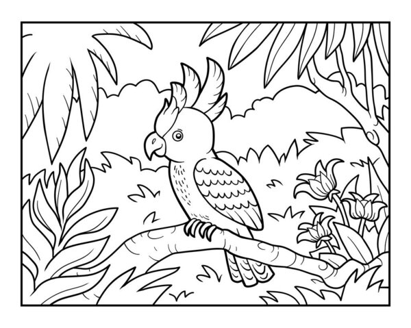 Coloring book, Cockatoo parrot in the rainforest