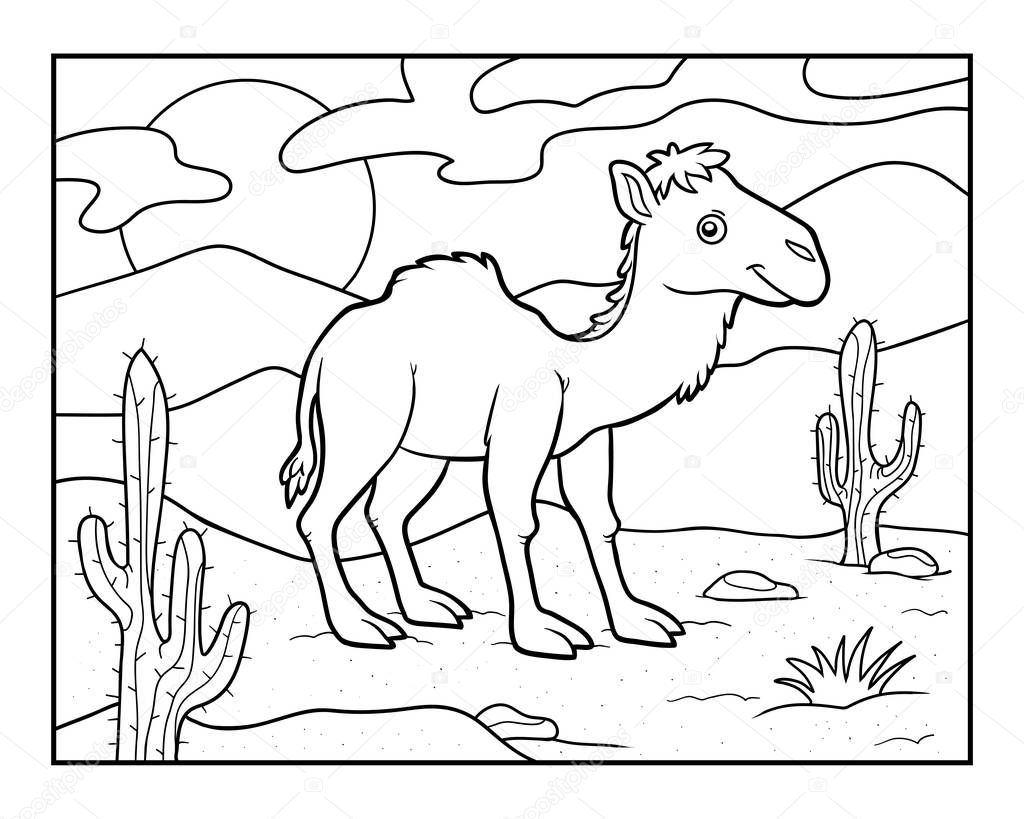 Coloring book, One-humped camel on a desert background