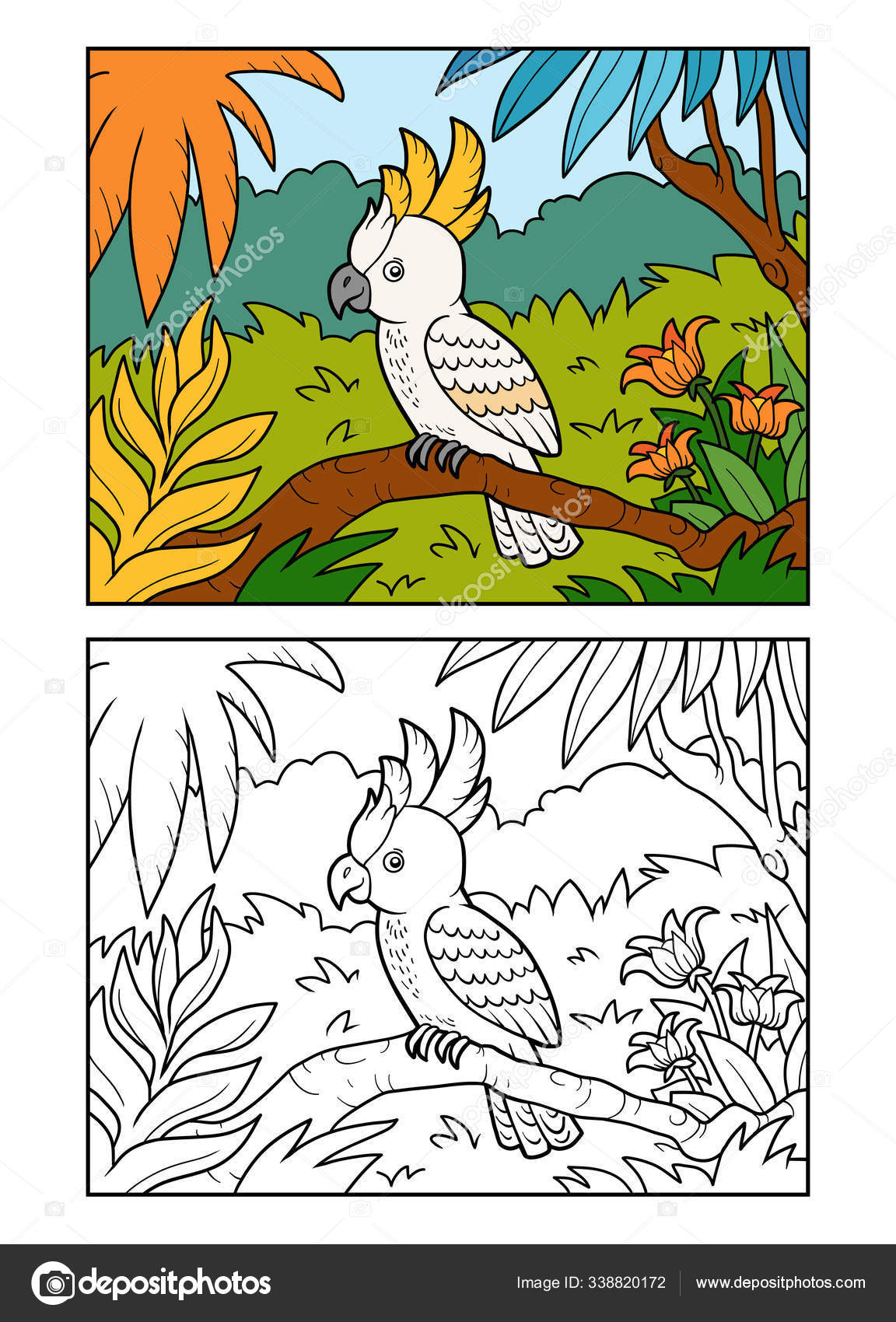 Cockatoo Parrot Coloring Page Vector Grafico Vectorial Imagenes De Cockatoo Parrot Coloring Page Vectoriales De Stock Depositphotos