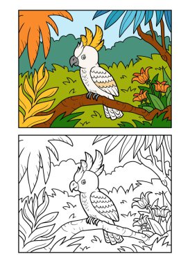 Coloring book, Cockatoo parrot in the rainforest
