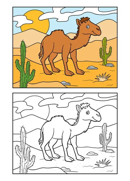 Livro de colorir, Um camelo corcunda em um fundo deserto —  Vetores de Stock
